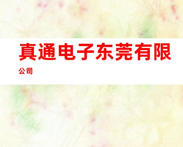真通电子东莞有限公司