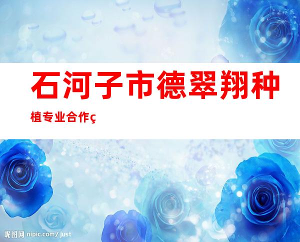 石河子市德翠翔种植专业合作社