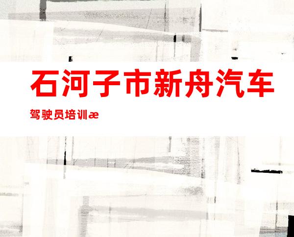 石河子市新舟汽车驾驶员培训有限公司