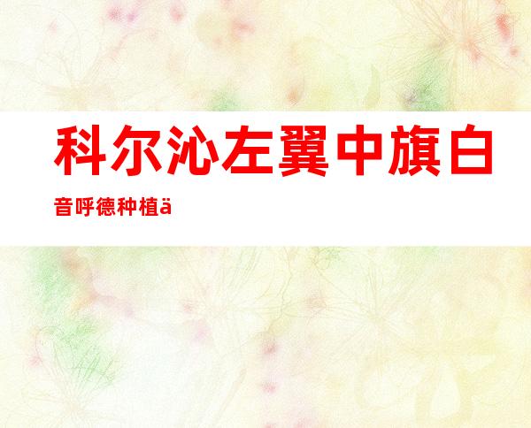 科尔沁左翼中旗白音呼德种植专业合作社