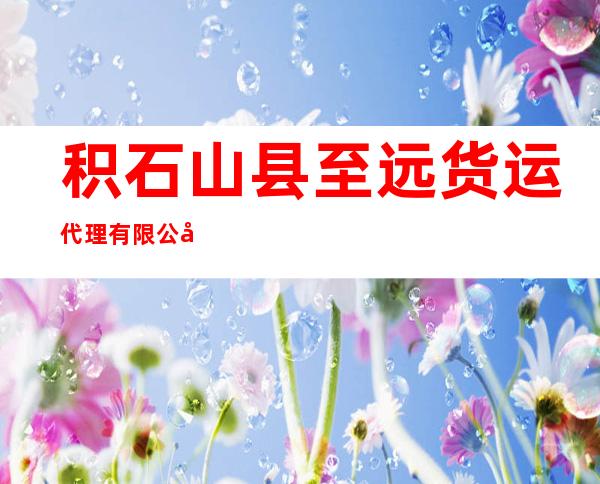 积石山县至远货运代理有限公司