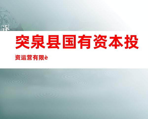 突泉县国有资本投资运营有限责任公司