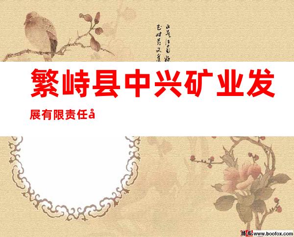 繁峙县中兴矿业发展有限责任公司