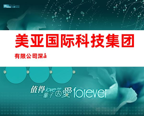 美亚国际科技集团有限公司深圳分公司