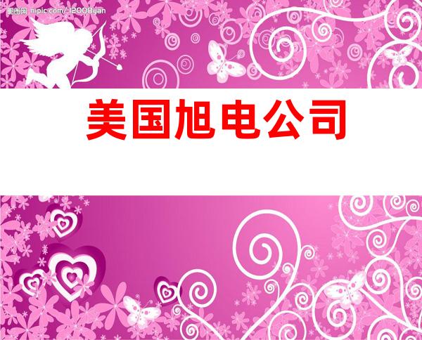 美国旭电公司