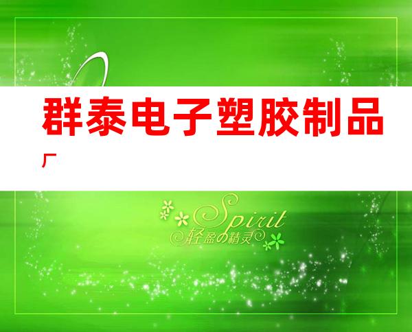 群泰电子塑胶制品厂