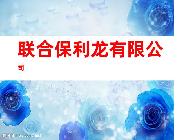 联合保利龙有限公司