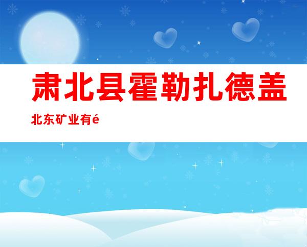 肃北县霍勒扎德盖北东矿业有限责任公司