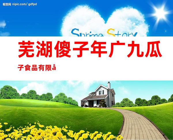 芜湖傻子年广九瓜子食品有限公司