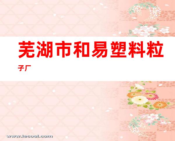 芜湖市和易塑料粒子厂