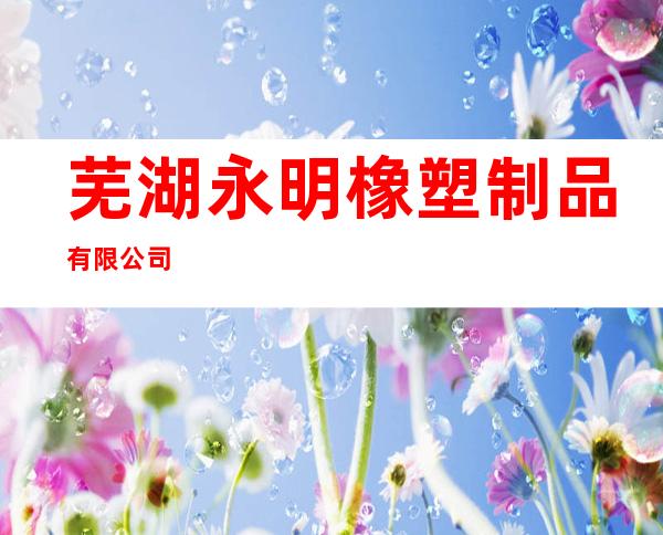 芜湖永明橡塑制品有限公司