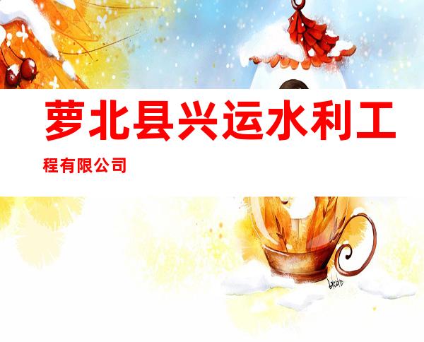 萝北县兴运水利工程有限公司
