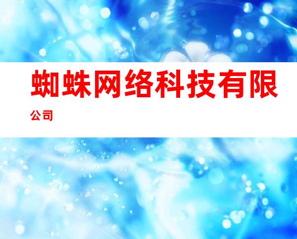 蜘蛛网络科技有限公司