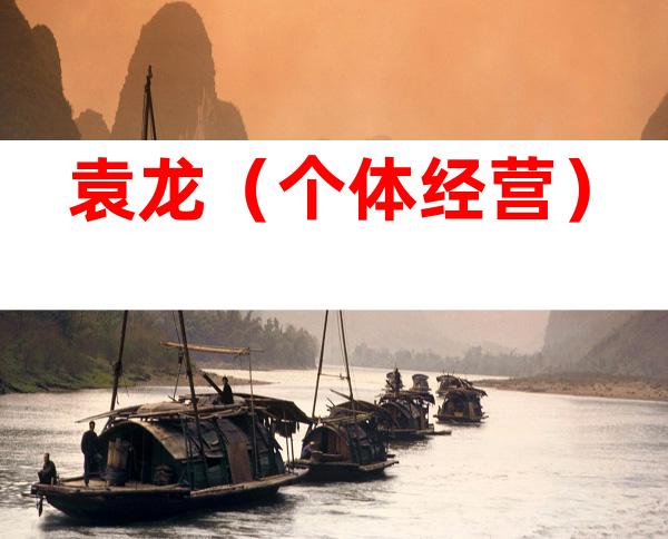 袁龙（个体经营）