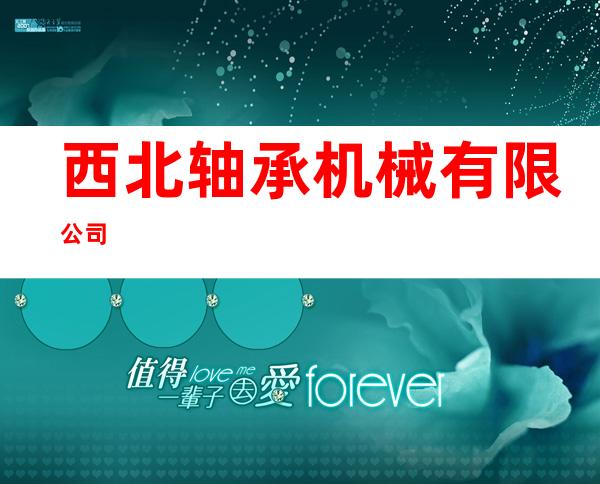 西北轴承机械有限公司