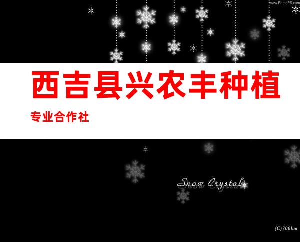 西吉县兴农丰种植专业合作社