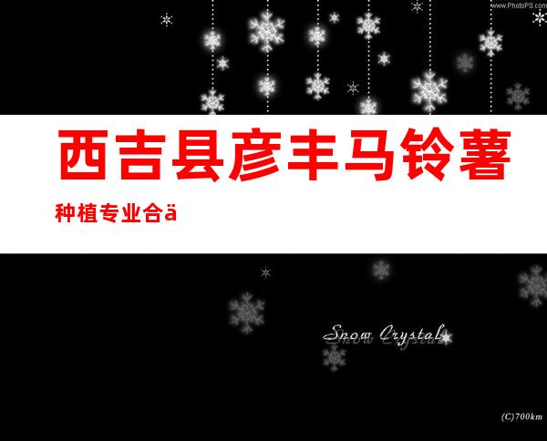 西吉县彦丰马铃薯种植专业合作社
