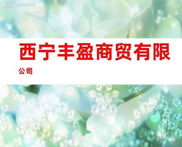 西宁丰盈商贸有限公司