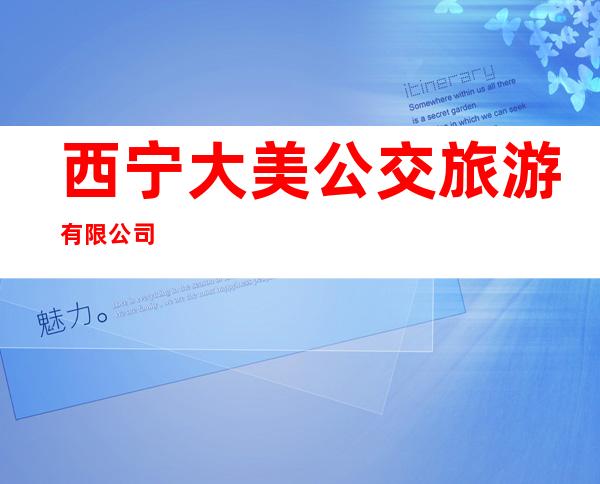 西宁大美公交旅游有限公司
