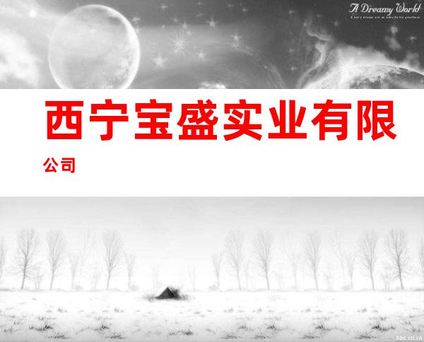 西宁宝盛实业有限公司