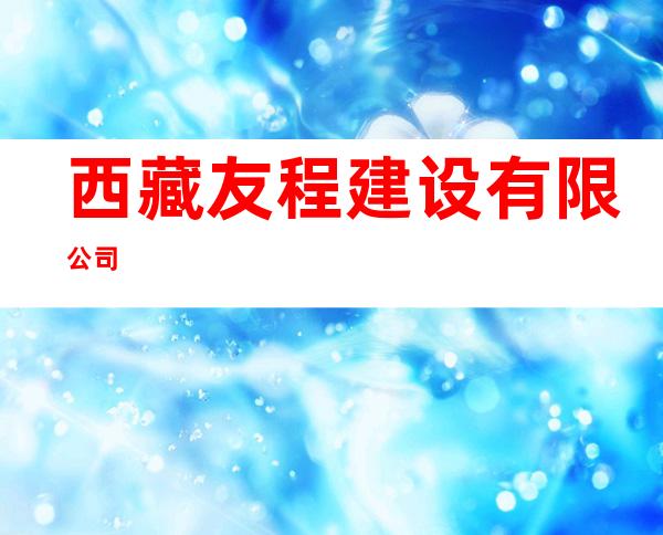 西藏友程建设有限公司
