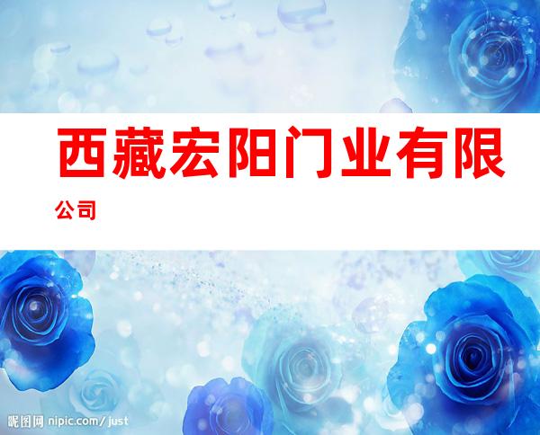 西藏宏阳门业有限公司