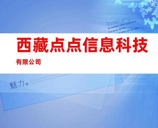 西藏点点信息科技有限公司