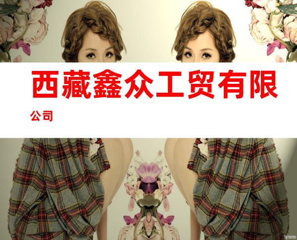 西藏鑫众工贸有限公司