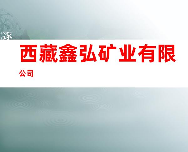 西藏鑫弘矿业有限公司