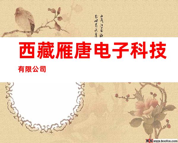 西藏雁唐电子科技有限公司
