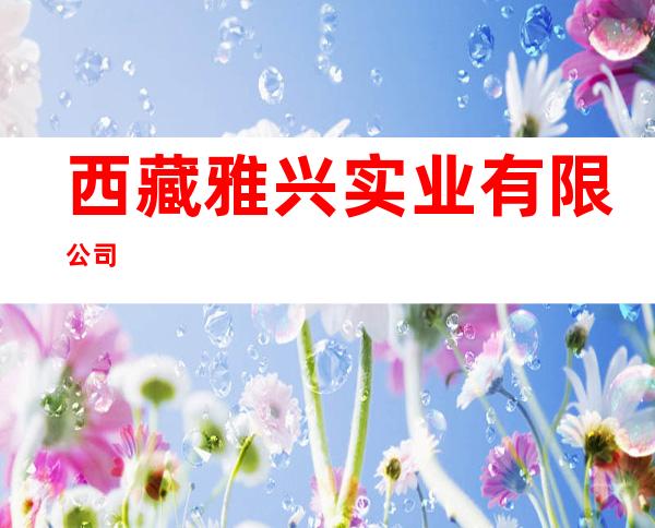 西藏雅兴实业有限公司