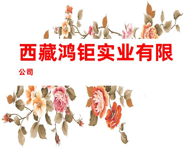 西藏鸿钜实业有限公司
