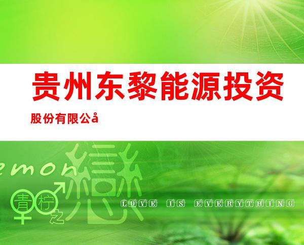 贵州东黎能源投资股份有限公司