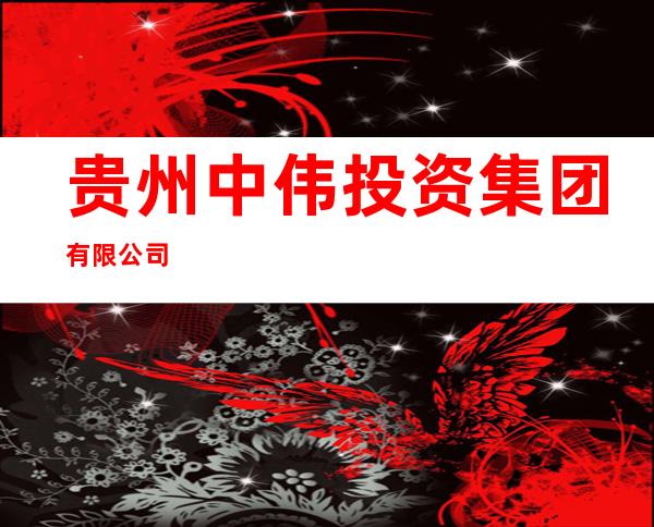 贵州中伟投资集团有限公司