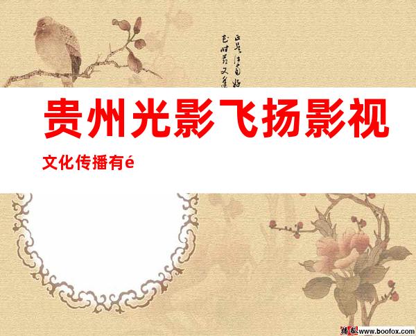 贵州光影飞扬影视文化传播有限公司