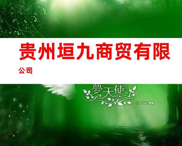 贵州垣九商贸有限公司