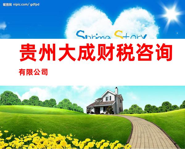 贵州大成财税咨询有限公司