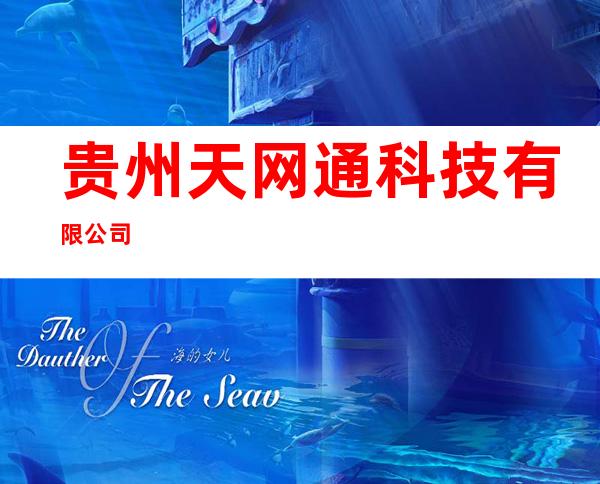 贵州天网通科技有限公司