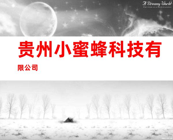 贵州小蜜蜂科技有限公司