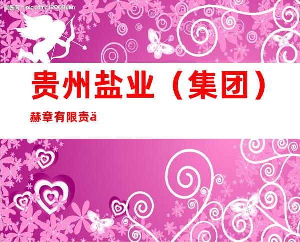 贵州盐业（集团）赫章有限责任公司
