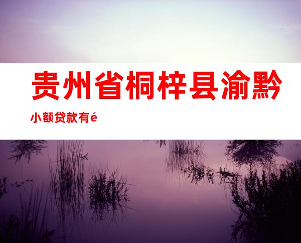 贵州省桐梓县渝黔小额贷款有限公司