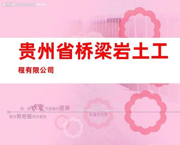 贵州省桥梁岩土工程有限公司
