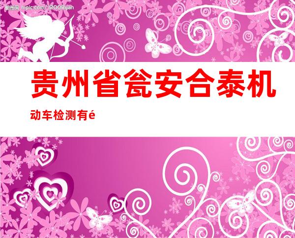 贵州省瓮安合泰机动车检测有限公司