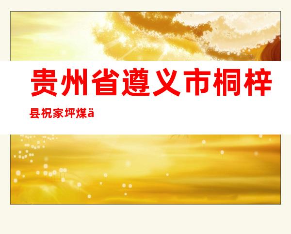 贵州省遵义市桐梓县祝家坪煤业有限公司