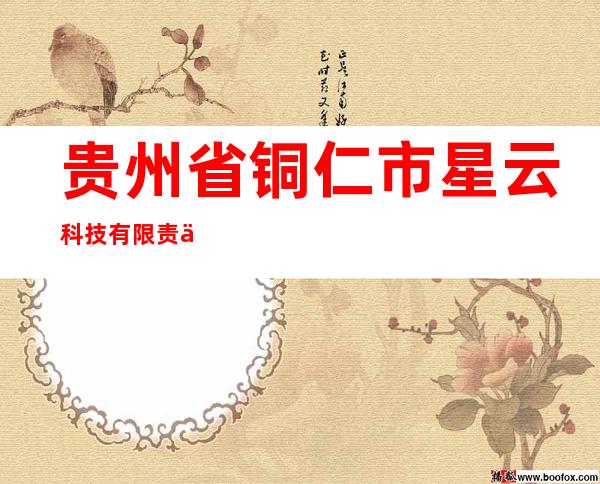 贵州省铜仁市星云科技有限责任公司