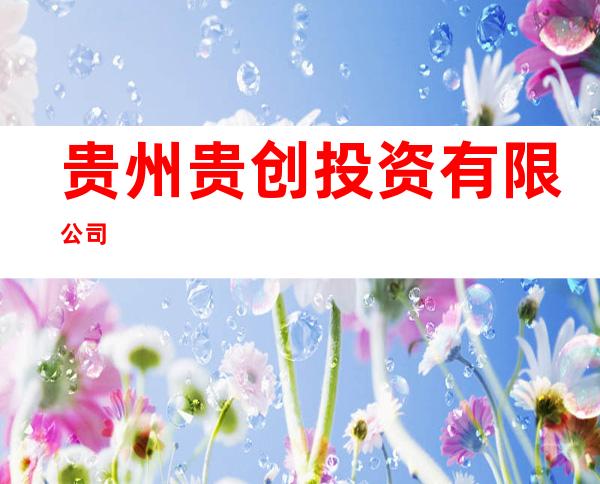 贵州贵创投资有限公司