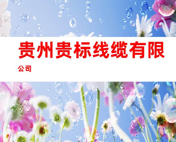 贵州贵标线缆有限公司