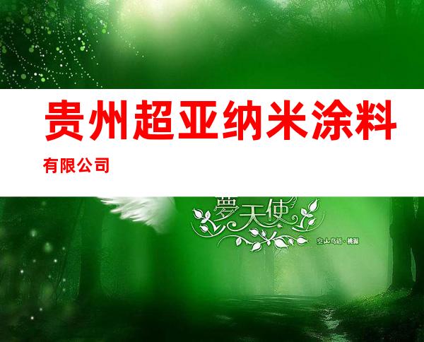 贵州超亚纳米涂料有限公司