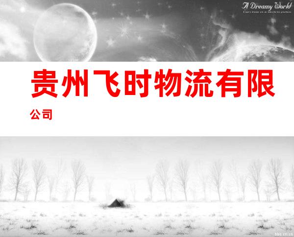 贵州飞时物流有限公司