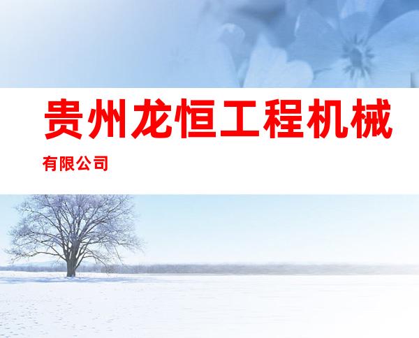 贵州龙恒工程机械有限公司